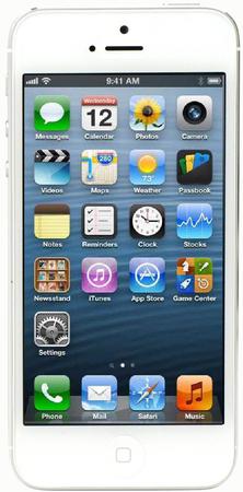 Смартфон Apple iPhone 5 64Gb White & Silver - Грязи