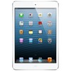 Apple iPad mini 16Gb Wi-Fi + Cellular белый - Грязи