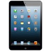 Apple iPad mini 64Gb Wi-Fi черный - Грязи