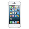 Apple iPhone 5 16Gb white - Грязи